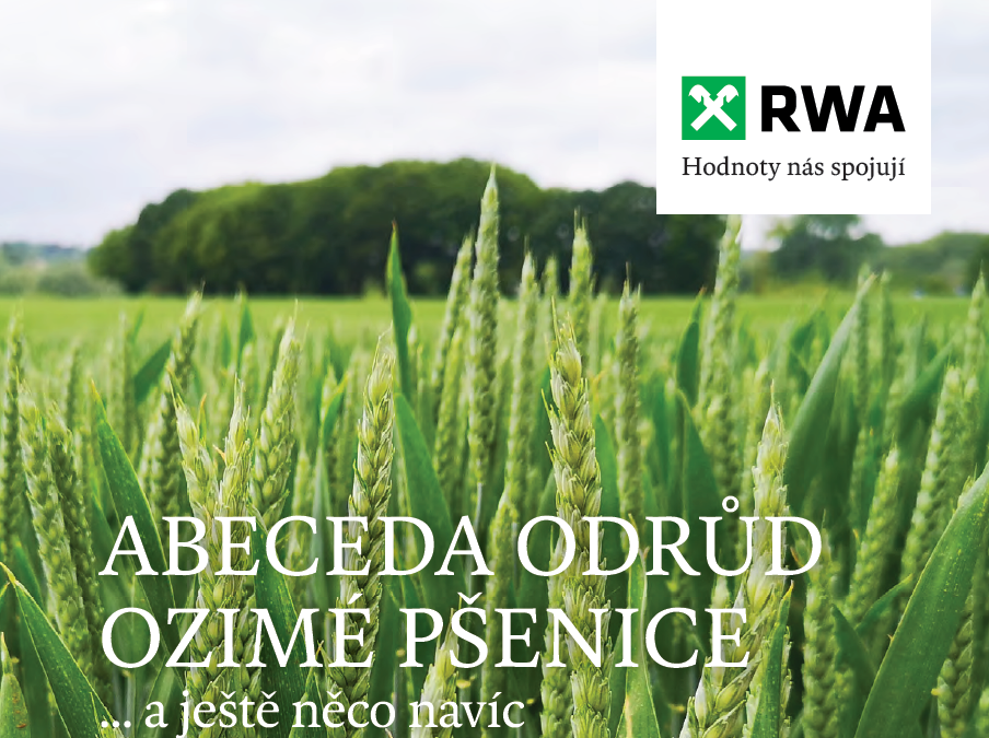 Katalog ABECEDA odrůd ozimé pšenice